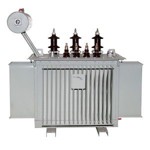 S10 series 11 kv class distribution transformer